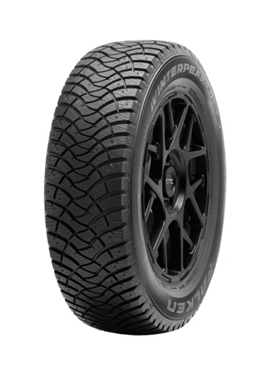 Winterpeak F-Ice 1 tire image