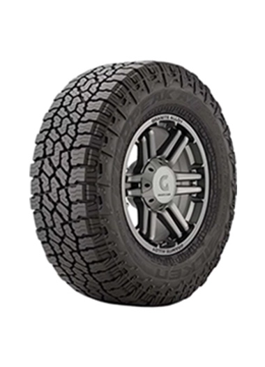 WILDPEAK A/T4W tire image